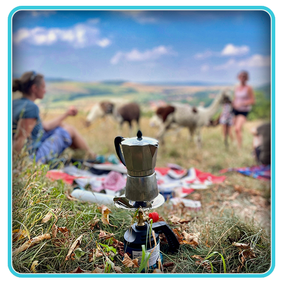 NABIDKA - TOP - LamaPiknik