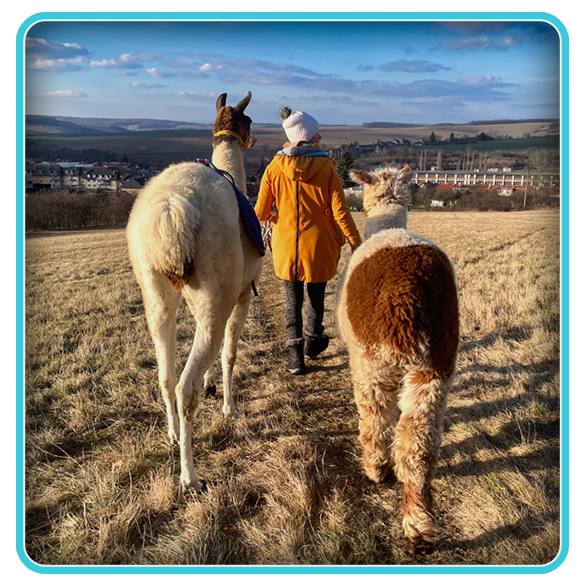 NABIDKA - TOP - Lamatrekking